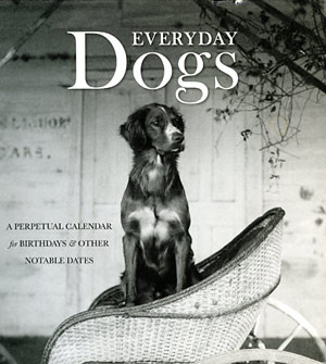 Everyday Dogs