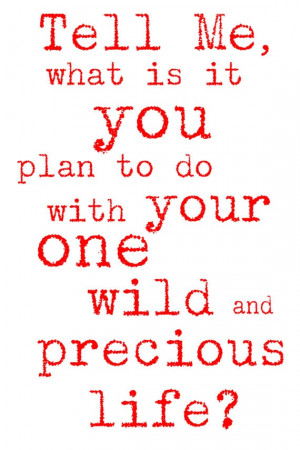 ... me, what is it you plan to do with your one wild and precious life