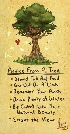 Tree Quote. ..