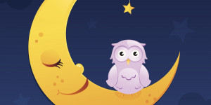 NIGHT-OWLS-SLEEP-facebook.jpg