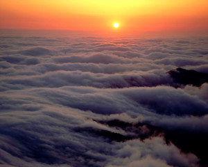 Subscribe to: Posts (Atom)