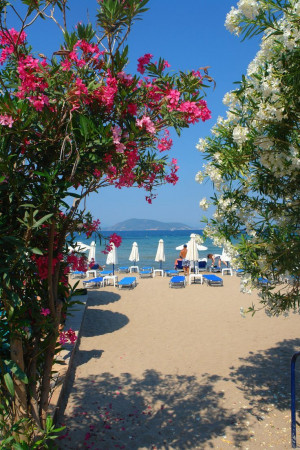 santorini, greece #Amazing #Travel #Photos mindfultravelbysara.com