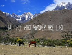 ... salty lyon quotes art travel quotes inspiration quotes andes mountain