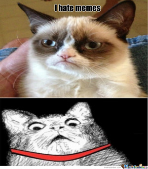grumpy cat meme hater