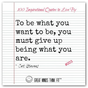 Cat Stevens Quote #003