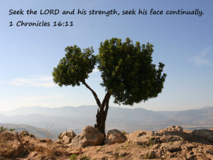 Inspirational Bible Verses about Strength Bible Quotes on Strength