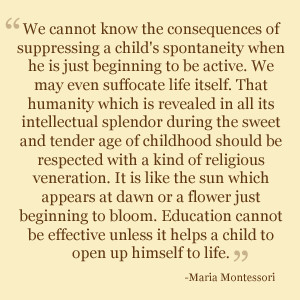 Montessori Links