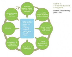 ... How emerging research universities can benefit from brain circulation