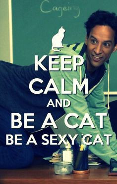 Keep Calm sexy cat - Abed Nadir - Danny Pudi - Nicolas Cage Episode ...