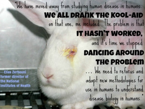 Quotes From Animal Farm Testing Abuse