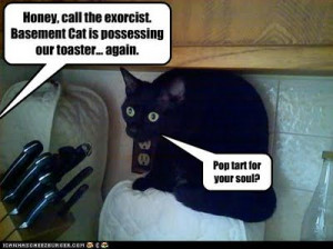 funny cat captions and quotes, Honey call the exorcist