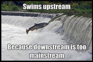 Swim upstream picture quotes image sayings