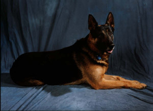 woensdag 21 juni 2006 @ 08:19 :41 #9