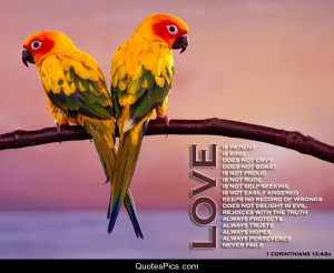 bible quotes short bible love quotes bible quotes kjv bible love ...