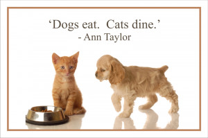 Dogs Eat. Cats Dine ” - Ann Taylor