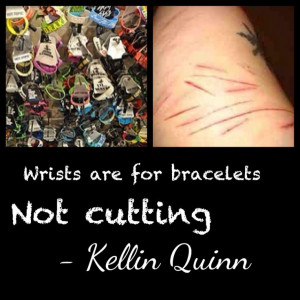 Kellin Quinn quote. 