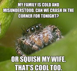 Enjoy the misunderstood house spider meme? Then you should see ...
