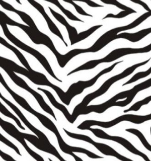 zebra stripes patterns Image