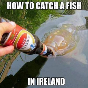 Funny 2014 How to Catch A Fish in Ireland