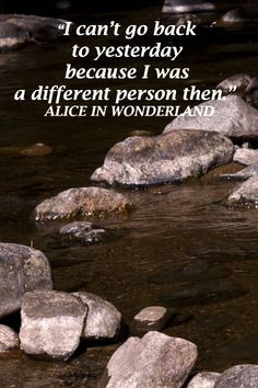 The Journey, New Journey Quotes, Alice On Wonderland Quotes, Alice In ...