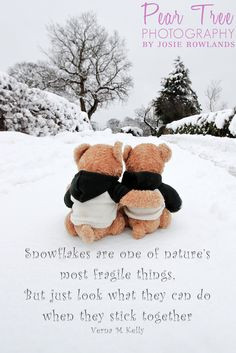 Snowflakes are one of nature's most fragile things. But just look what ...