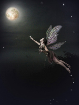 Reaching The Moon Fairy Picture