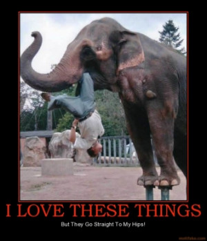 Elephant Motivational Poster