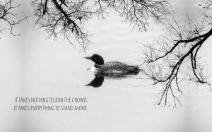 If you like this wallpaper please like and share our facebook page