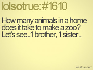 and cute sister quotes,funny jokes humour,funny quotes about maine ...