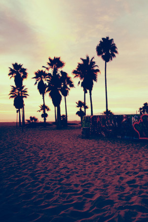 California Dream Via Tumblr