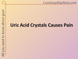Uric Acid Crystals Urine
