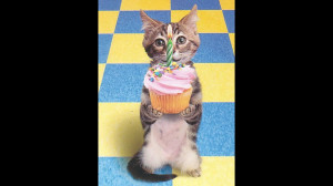 Birthday Quotes For Dog Lovers