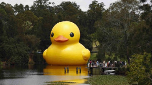 The giant inflatable Rubber Duck installation by Dutch artist ...