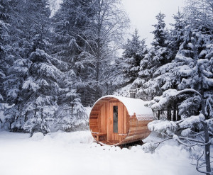 ... would cut off a limb for this: Wood burning cedarwood sauna from a kit
