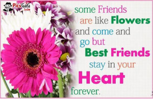 Friends are Flowers Friend Quote Pic and You Like This Friendship SMS ...
