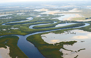 Saloum Delta National Park: Wikis