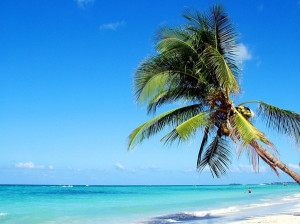Thread: Jamaica world's 3rd coolest country – CNN