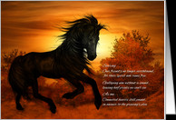 Loss of Horse Sympathy Cards