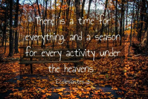 quote #photography #lafeverphotography #leaves #autumn #fall #pumpkin ...