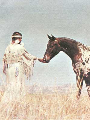 the palus were great horse breeders the appaloosa horse with its ...