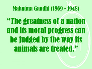 gandhi animal rights quotes includes a gandhi on treatment of animals ...