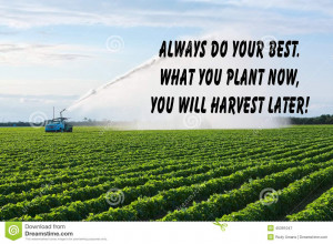 Inspirational quote about success and life with farmland in the ...