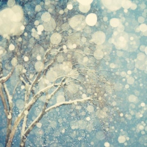 Season | Winter
