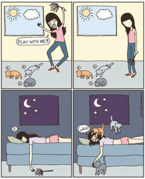 cartoon, cats, funny, girl, kitten
