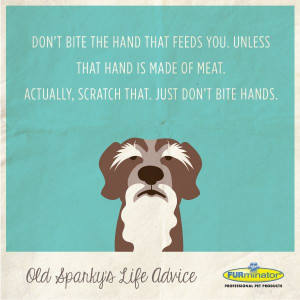 Don't bite the hand that feeds you. Unless that hand is made of meat ...