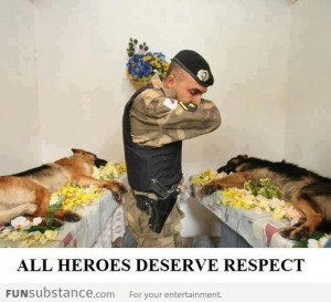 True Heroes