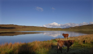 Sir Alexander Gray - 35 great quotes about Scotland and the Scots