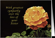 Sorry, for the Loss of Your Sister, yellow orange rose card - Product ...