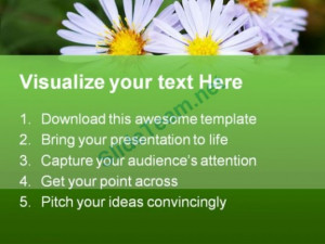 Related Pictures quote try triumph barrel racing racers cowgirl