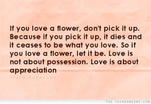 ... let it be love is not about possession love is about appreciation